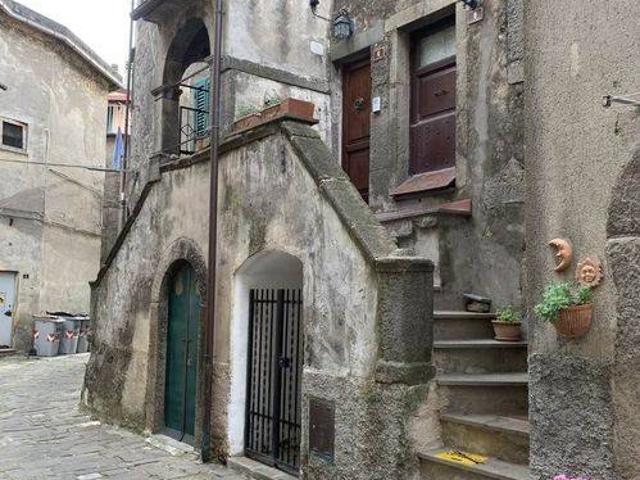 Villa in vendita a Castel del Piano GR