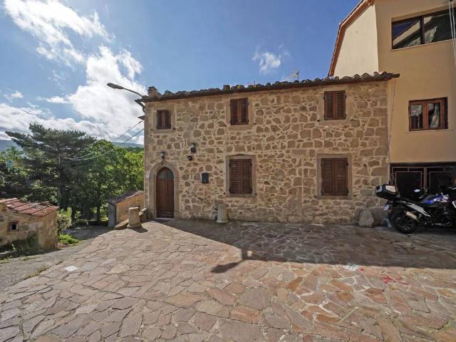 Villa in vendita a Castel del Piano GR