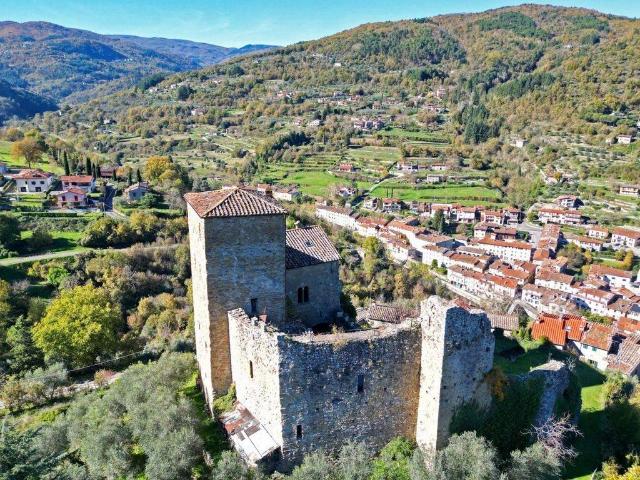 Villa in vendita a Castel San Niccolò AR