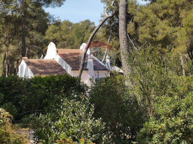Villa in vendita a Castellaneta