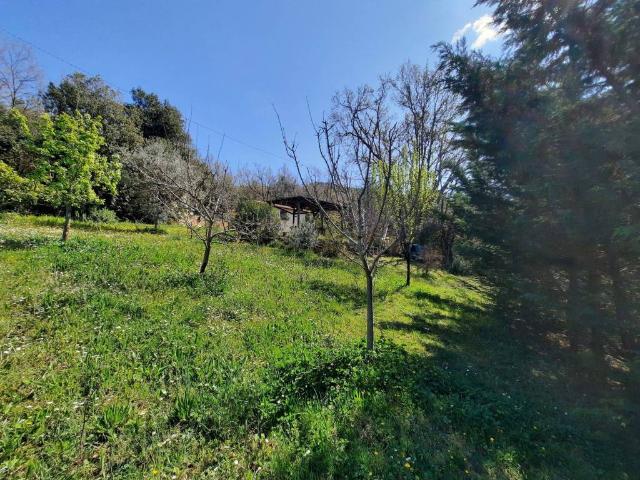 Villa in vendita a Castellina Marittima PI