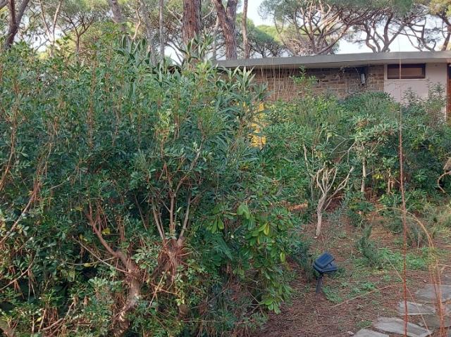VILLA in VENDITA a CASTIGLIONE DELLA PESCAIA di 12 vani