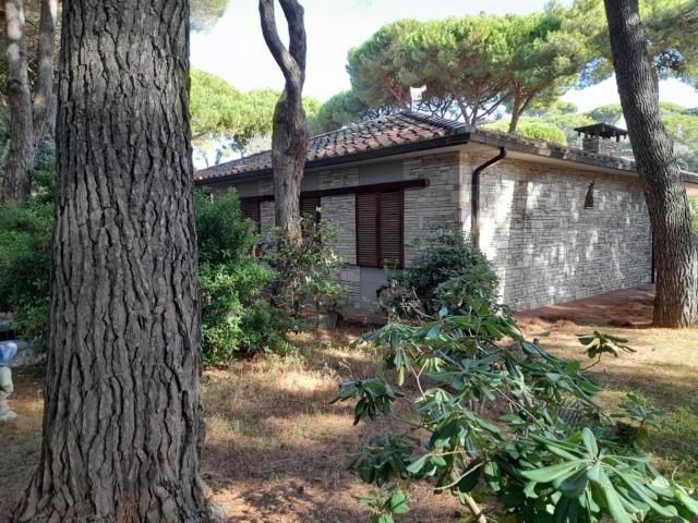 Villa in vendita a Castiglione della Pescaia GR