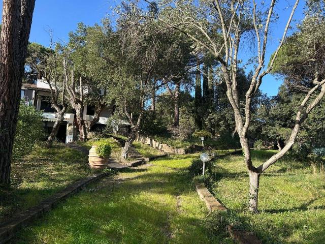 Villa in vendita a Castiglione della Pescaia GR