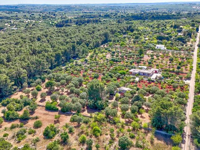Villa in vendita a Ceglie Messapica BR