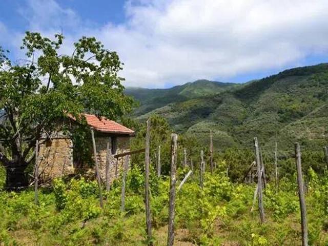 Villa in vendita a Ceriana IM