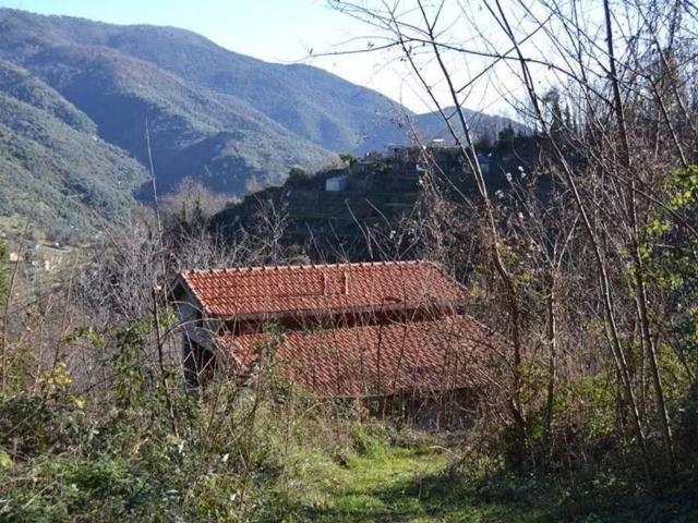 Villa in vendita a Ceriana IM