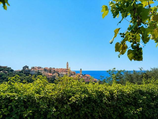 Villa in vendita a Cervo IM