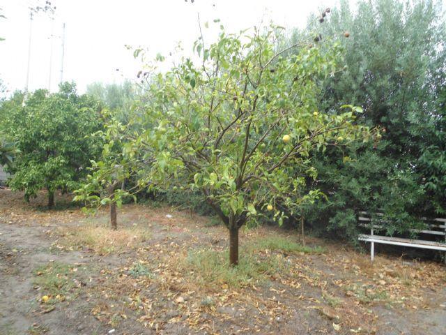 Villa in vendita a Crotone