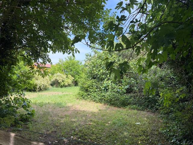 Villa in vendita a Curtarolo PD
