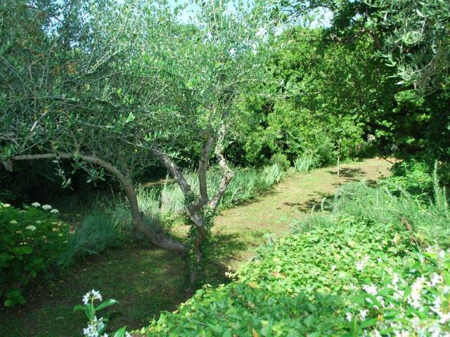 Villa in vendita a Ameglia SP