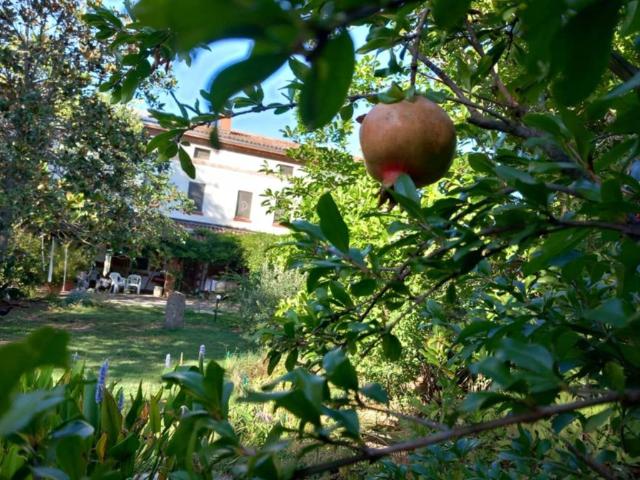 Villa in vendita a Alessandria AL