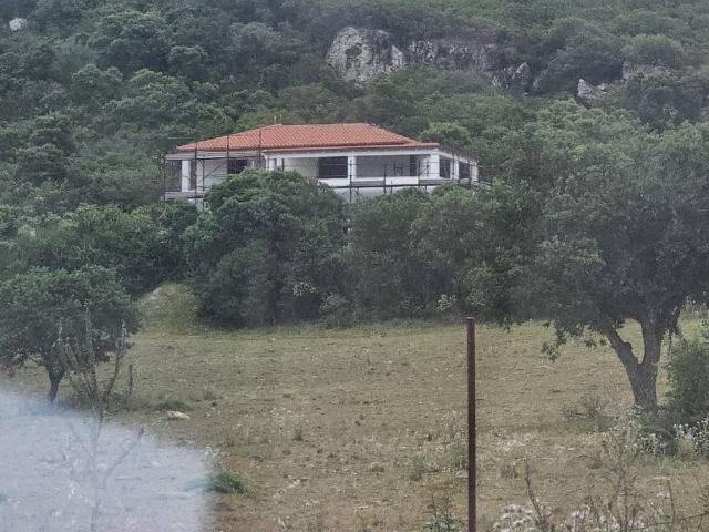 Villa in vendita a Alghero SS