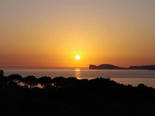 Villa in vendita a Alghero SS