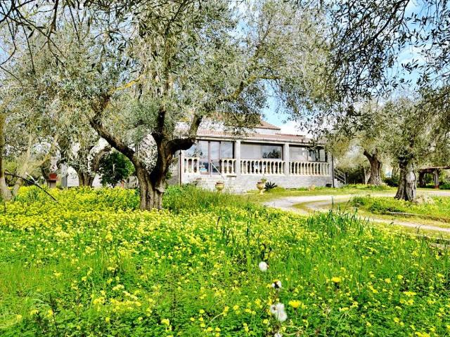 Villa in vendita a Alghero SS