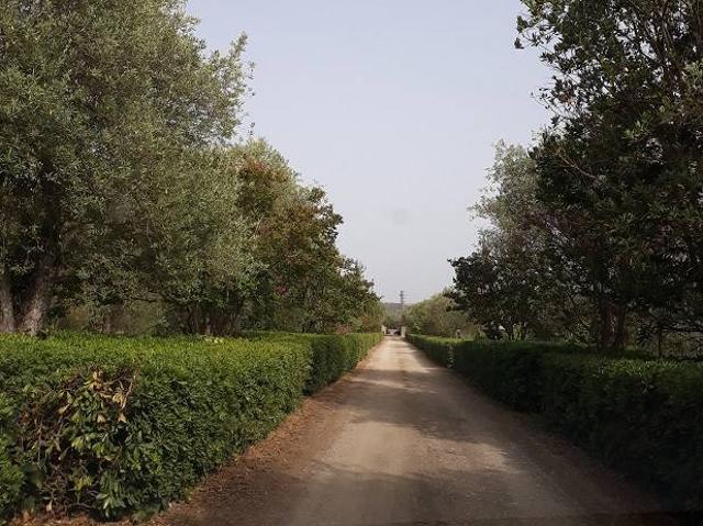 Villa in vendita a Alghero SS
