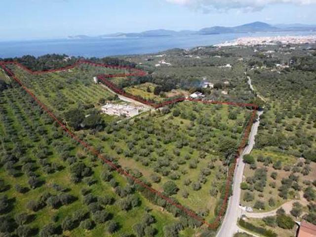 Villa in vendita a Alghero SS