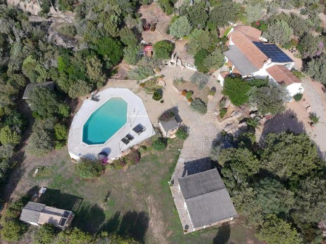 Villa in vendita a Arzachena