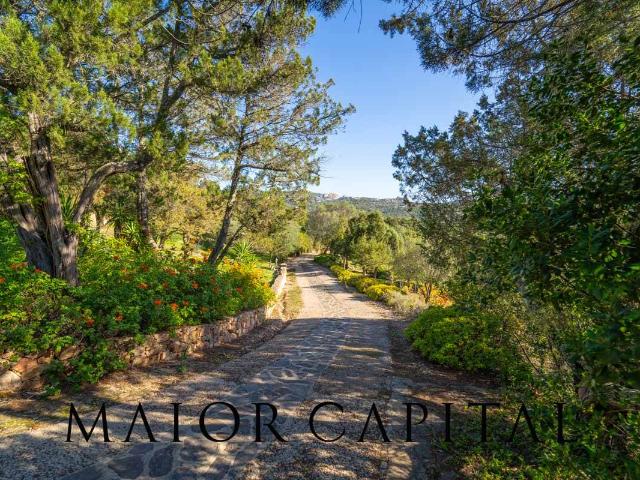 Villa in vendita a Arzachena