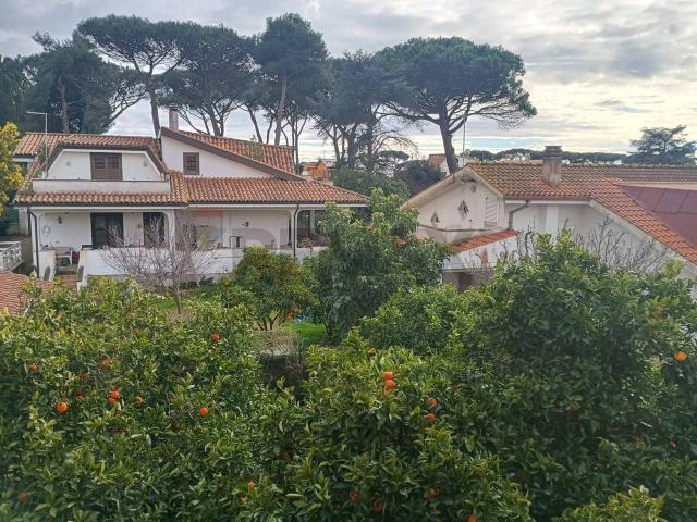 Villa in vendita a Ardea