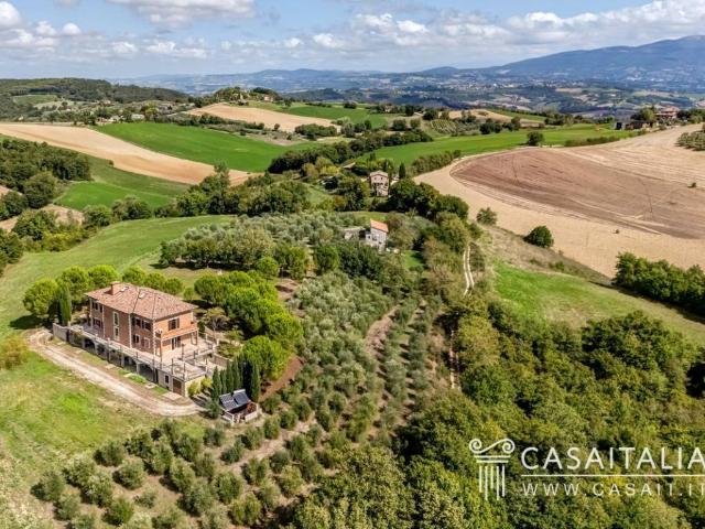 Villa in vendita a Avigliano Umbro TR