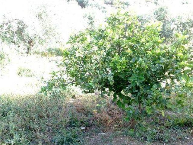 Villa in vendita a Bagheria PA