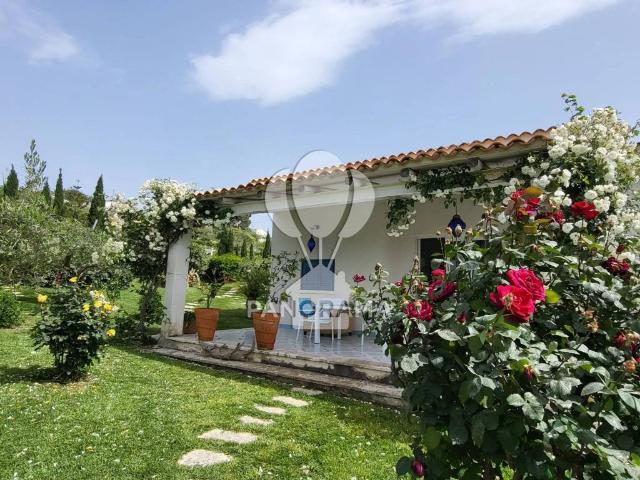 Villa in vendita a Balestrate PA