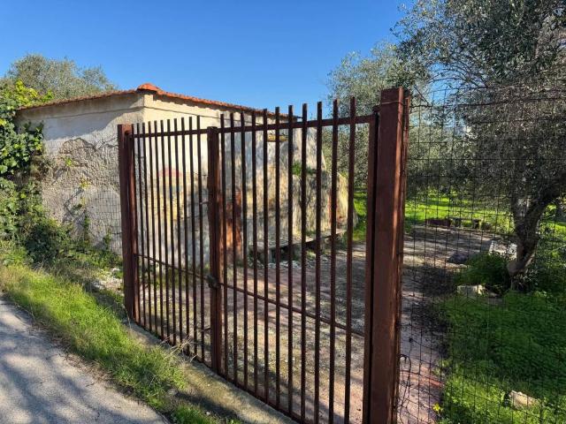 Villa in vendita a Bari BA
