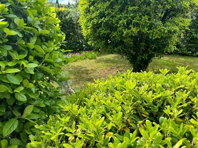 Villa in vendita a Bassa Cerreto Guidi 350 mq Rif: 1413980
