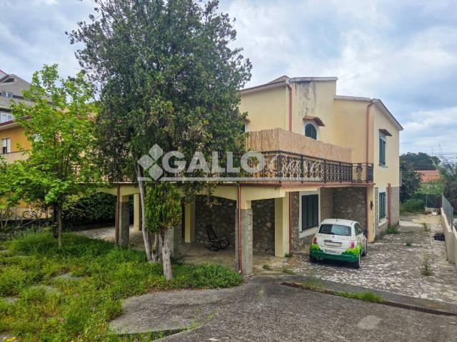Villa in vendita a Belvedere Marittimo CS