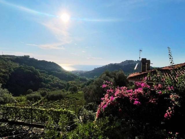Villa in vendita a Belvedere Marittimo CS