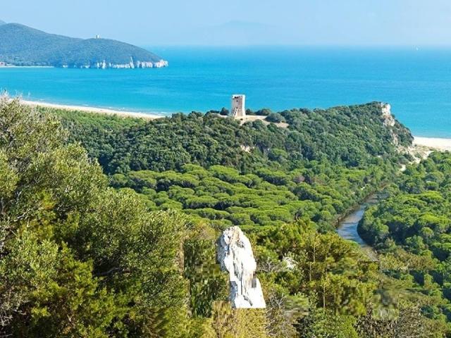 Villa in vendita a Grosseto GR