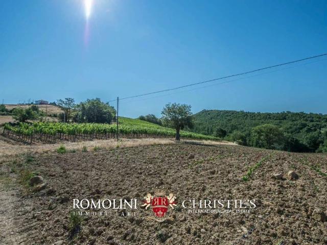 Villa in vendita a Grosseto GR