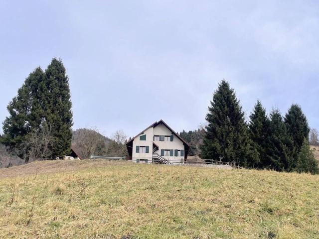 Villa in vendita a Foza