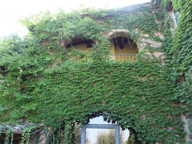 Villa in vendita a Foiano della Chiana AR