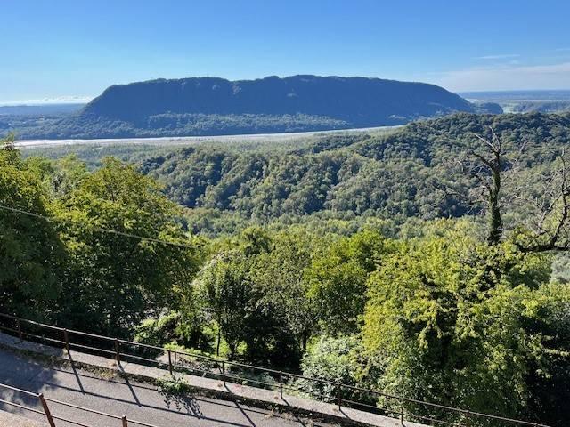 Villa in vendita a Forgaria nel Friuli UD