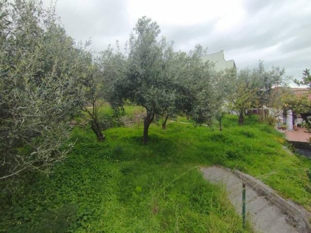 Villa in vendita a Furci Siculo ME