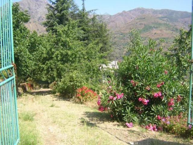 VILLA in VENDITA a ITALA ITALA di 3 vani