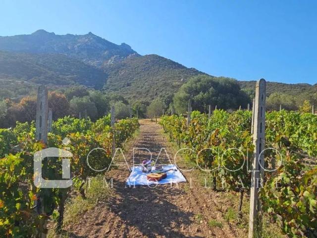 Villa in vendita a Olbia OT