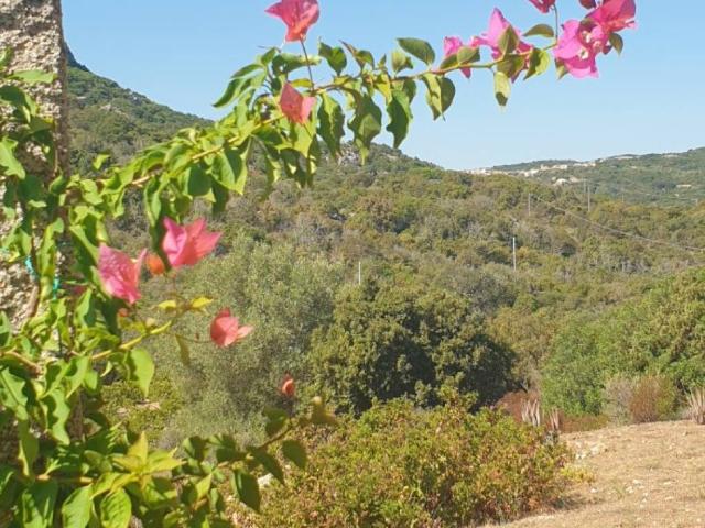 Villa in vendita a Olbia SS