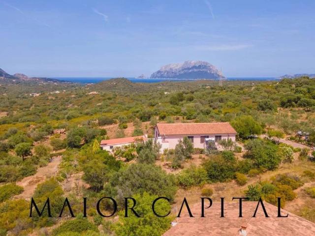 Villa in vendita a Olbia SS