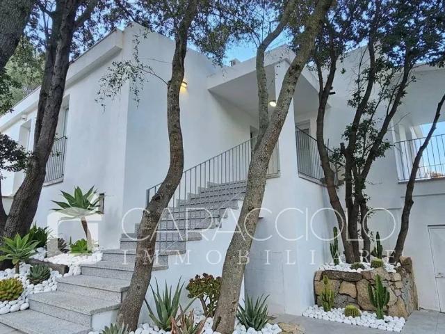 Villa in vendita a Olbia SS