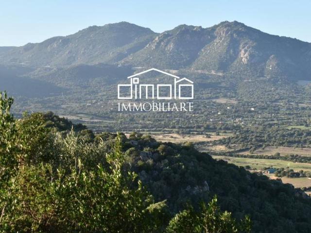 Villa in vendita a Olbia SS