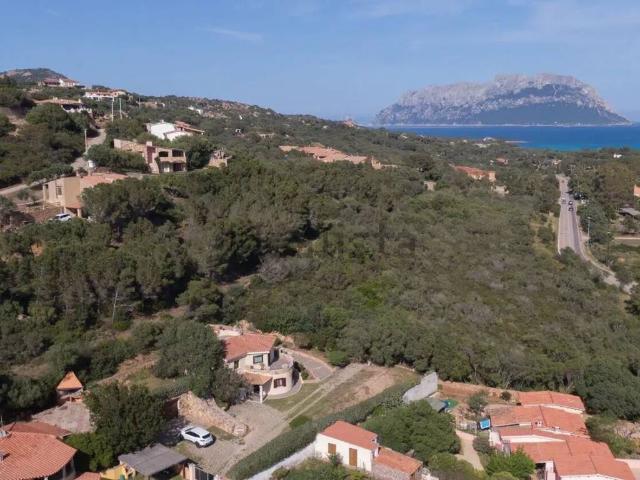 Villa in vendita a Olbia SS