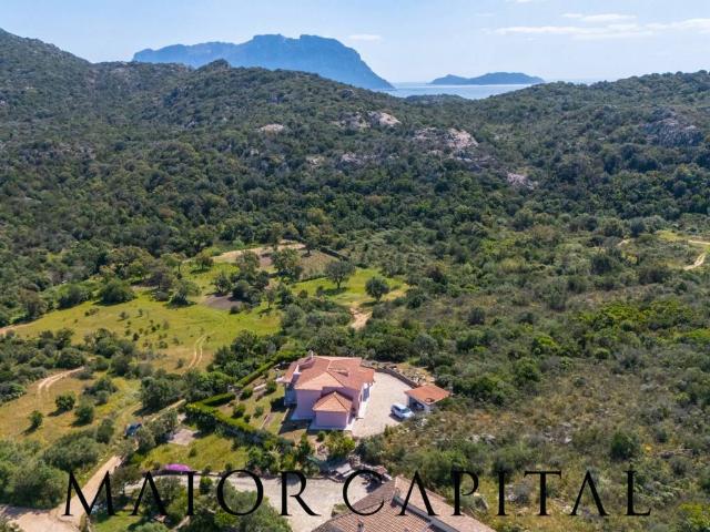 Villa in vendita a Olbia SS