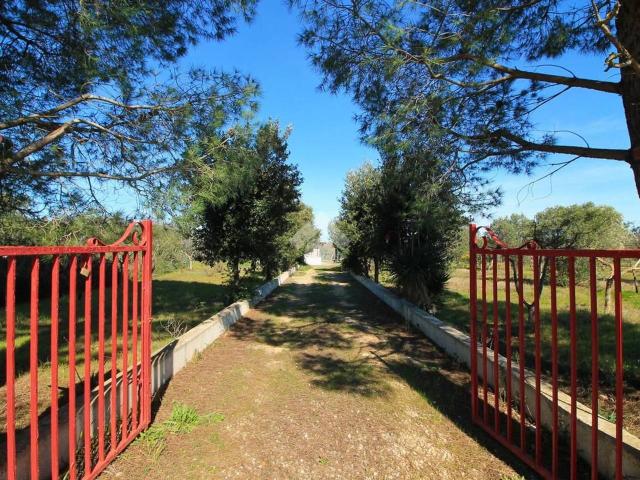 Villa in vendita a Ostuni