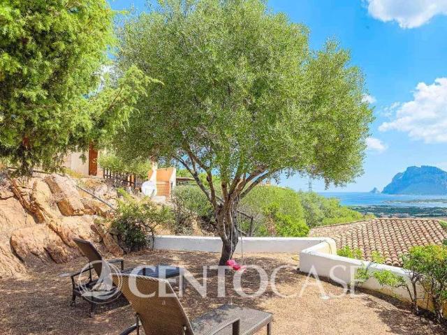 Villa in vendita a Loiri Porto San Paolo OT