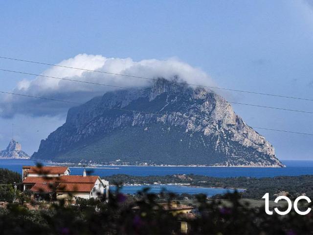 Villa in vendita a Loiri Porto San Paolo OT