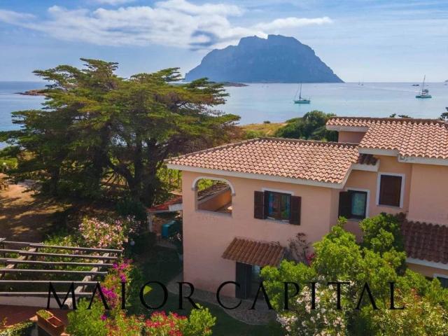 Villa in vendita a Loiri Porto San Paolo SS