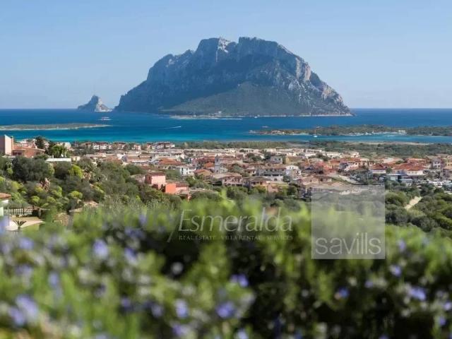 Villa in vendita a Loiri Porto San Paolo OT